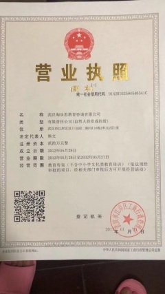 武漢淘樂(lè)思教育咨詢公司 深耕教育咨詢，賦能學(xué)習(xí)未來(lái)