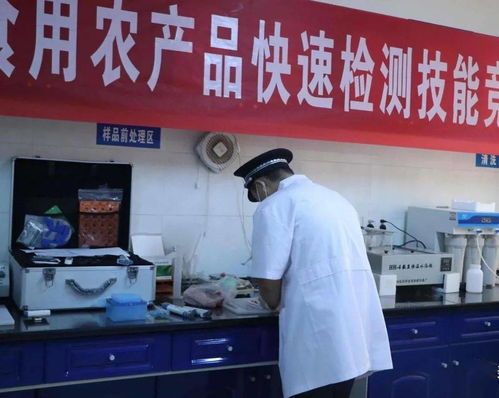 區市場局舉辦食用農產品快速檢測技能競賽 以賽促練提升檢驗實戰能力