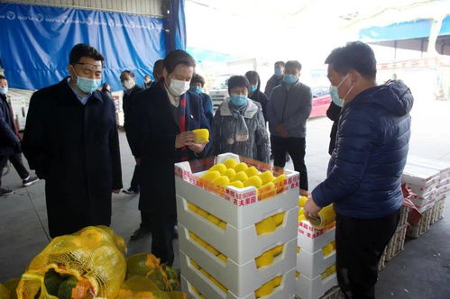 柳金鐘書記深入襄都區檢查指導食用農產品市場銷售信息追溯系統建設
